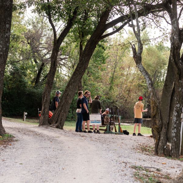 Group_watching_under_trees