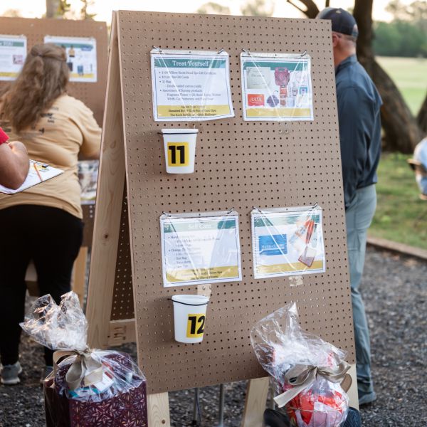 Outdoor_display_board_with_information_cards_attached