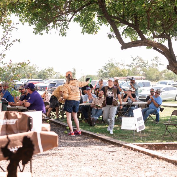 Outdoor_gathering_under_trees
