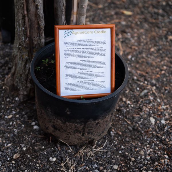 Sign_in_pot_with_text