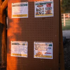 Display_board_with_posted_flyers